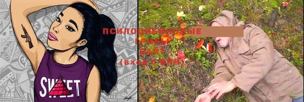 крисы Алзамай