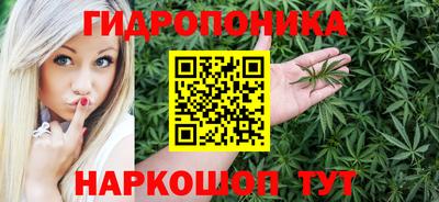 гидра Свободный