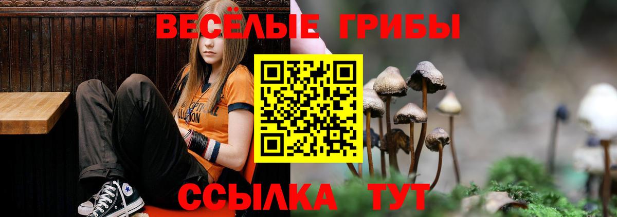 Псилоцибиновые грибы Psilocybine cubensis  Вход с VPN  купить наркоту  Протвино 